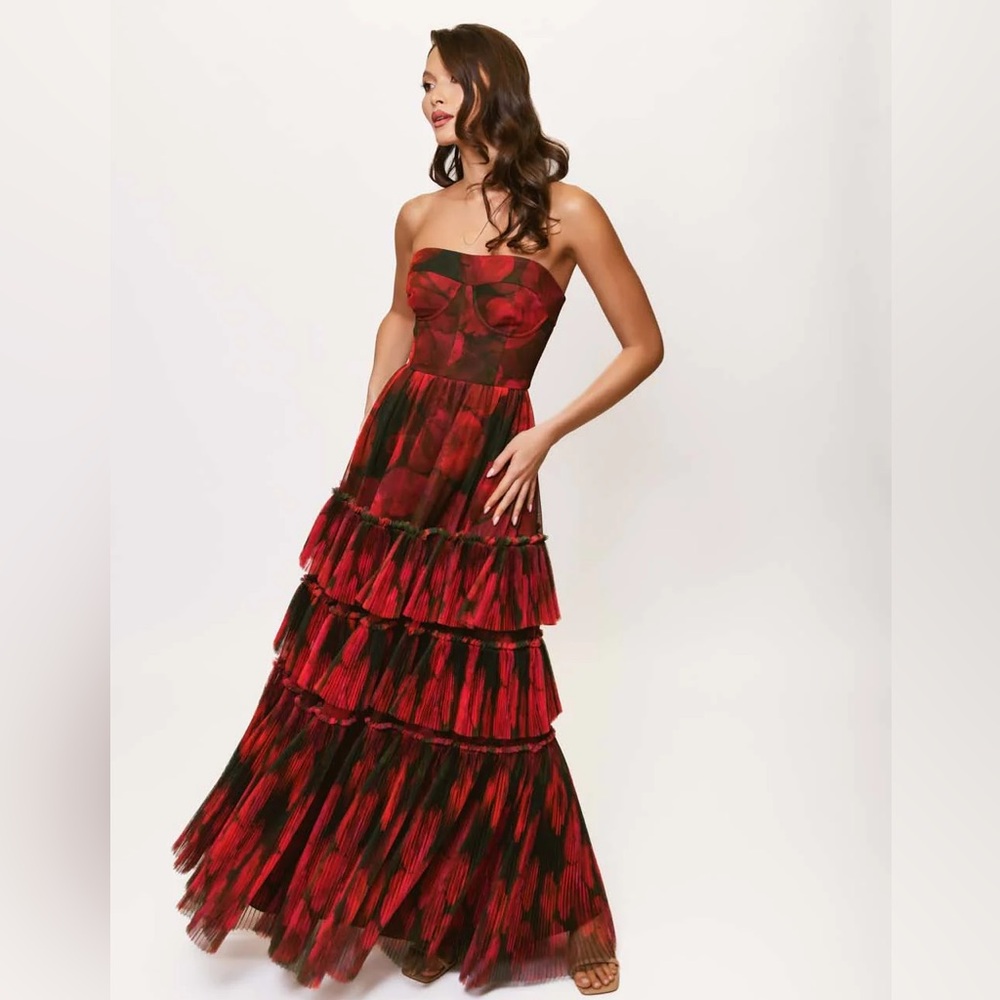 Hutch Isabella Strapless Tiered Tulle Maxi Dress - Picture 2 of 10